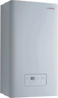 Котел газовый  Protherm Гепард 23 MTV